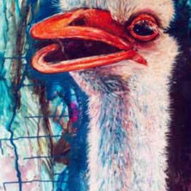 Lisa Counts: 'ostrich', 2002 Other Painting, Animals. Artist Description: Gouache painting on masonite board.Private Collection....