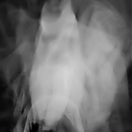Cristalle Amarante: 'poessia nel mosso', 2020 Black and White Photograph, Expressionism. Artist Description: Inspiration in motion...
