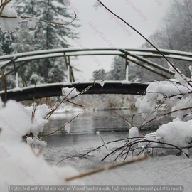 Sally Marella: 'bridge over calm water', 2019 Color Photograph, Landscape. Artist Description: Shot taken laying on my belly in a half frozen creek...
