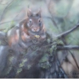 squirrel By Marina Stewart