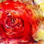 Astral Rose By Daniel Clarke