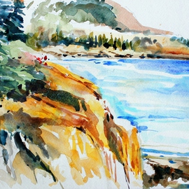 Big Sur Along the Coast By Daniel Clarke