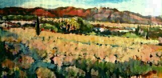 Daniel Clarke: 'after the spring rain', 2017 Acrylic Painting, Landscape. After a cool spring rain near Palm Springs the California landscape looks so inviting full of flowers desert joy and impressionism blissfulness...