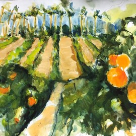 riverside orange groves By Daniel Clarke