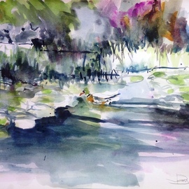 the lonely duck  By Daniel Clarke