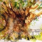 tree of life disneyworld By Daniel Clarke