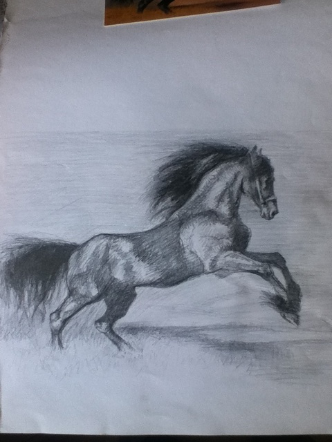 Daniela Vasileva  'Black Horse ', created in 2016, Original Drawing Ink.