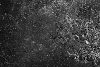 Fine Art Photography Dapixara: 'Black and White Abstract', 2010 Black and White Photograph, Abstract Landscape.  black and white abstract, photography, art, black and white photography, water shock, 