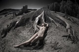Dario Impini: 'assimilation', 2016 Digital Photograph, Nudes. An unusual parched landscape of bleached tree trunks on a dry lake bed.  What happened hereNo clue.  But it seemed like a good place for a strong image.  So here it is.All my work delivered as high definition image infused into aluminum metal sheet with high gloss coating providing ...
