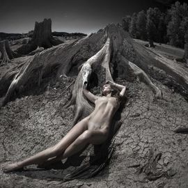 Dario Impini: 'assimilation', 2016 Digital Photograph, Nudes. Artist Description: An unusual parched landscape of bleached tree trunks on a dry lake bed.  What happened hereNo clue.  But it seemed like a good place for a strong image.  So here it is.All my work delivered as high definition image infused into aluminum metal sheet with high gloss ...