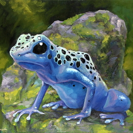 blue frog By Dariusz Bernat