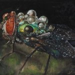the fly By Dariusz Bernat