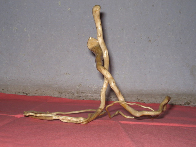 Gadadhar Das  'SNAKE COPULATION', created in 2006, Original Sculpture Wood.