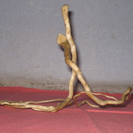 Gadadhar Das: 'SNAKE COPULATION', 2006 Wood Sculpture, Love. Artist Description:  This Art work was made from two pieces discarded tree roots. These pieces were collected from our garden. I made it in 2006. This Sculpture completely covered by a special type of wood coating for protect from termite  & borar. Weight of this Artwork is . 010 Kilos. ...