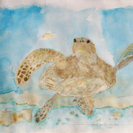 Hawaiian turtle By David Rocky Aguirre