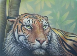 David Easterly: 'tiger', 2017 Mixed Media, Animals. striped lion...