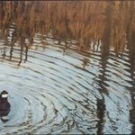 ripples By David Larkins