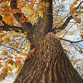 David Larkins: 'squirrel', 2019 Oil Painting, Animals. Artist Description: This is for all those squirrel chasing dog owners out there There was this giant oak tree outside of an Airbnb that Laura and I stayed at in Franklin, TN. It stands about two feet outside the kitchen window, a massive old grand dad of a tree. It ...