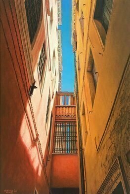 David Larkins: 'venice blue', 2018 Acrylic Painting, Architecture. Venice owns its unique blue, maybe because of the Adriatic Sea surrounding the city or the constant clear cloudless skies. The blues compliment the ochre and sienna stucco buildings creating a complimentary composition of hues. All of this makes Venice an easy choice to study and paint ...
