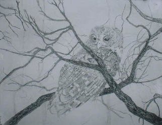 David Larson Evans: 'spotted owl', 2003 Etching, Birds. limited to 30 prints, hand printed by the artist, signed and numbered in pencil, framed size would be 15 x 14...