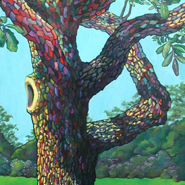 Audubon Park Oak Tree By Debra Lennox