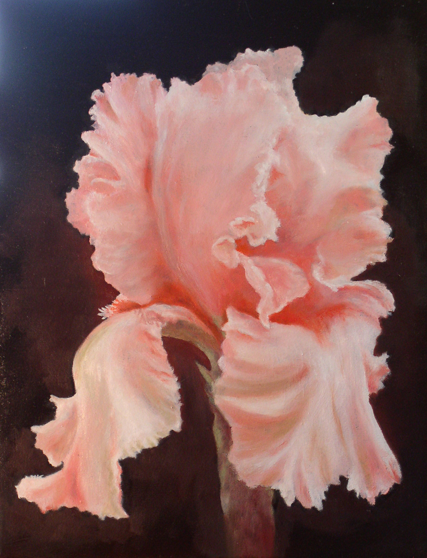 Iris flower painting original art red