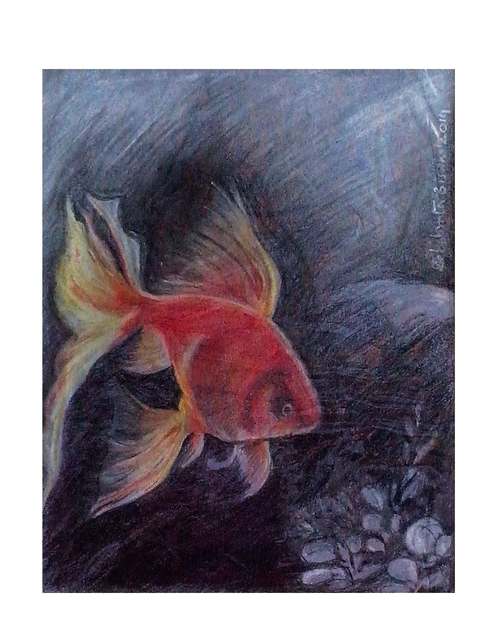 Debabrata Biswas  'Fish 1', created in 2014, Original Drawing Pen.