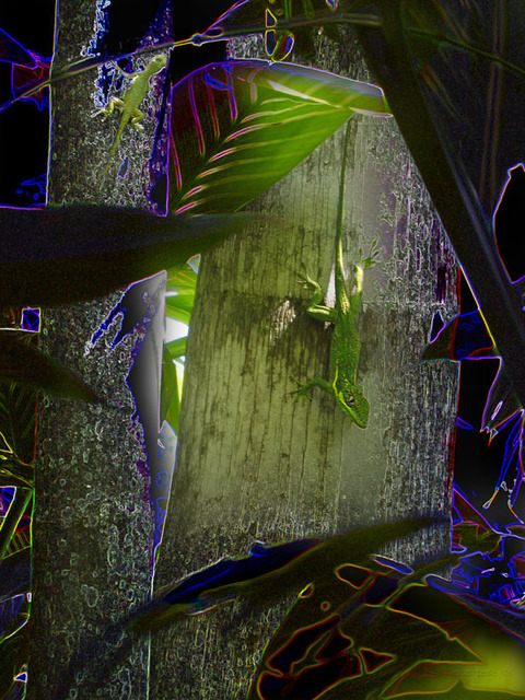 Artist Debra Cortese. '2 Lizards 2 Dimensions E Series' Artwork Image, Created in 2006, Original Other. #art #artist