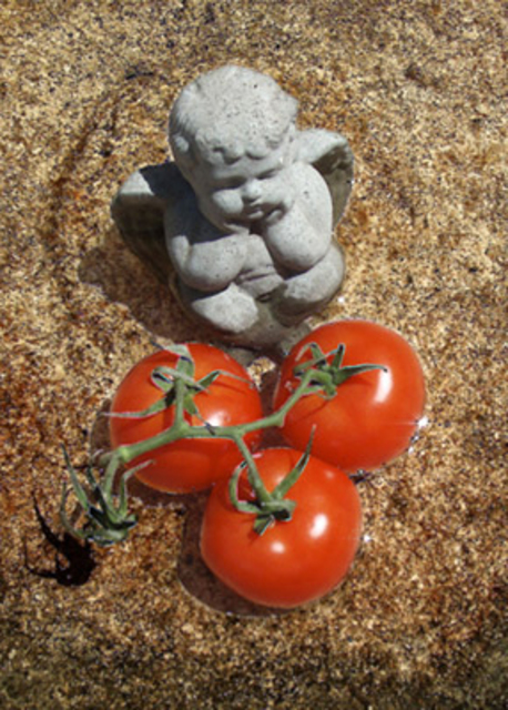 Artist Debra Cortese. 'Angel In Bird Bath With Tomatoes' Artwork Image, Created in 2008, Original Other. #art #artist