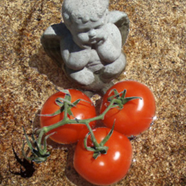 Debra Cortese: 'Angel in Bird Bath with Tomatoes', 2008 Other Photography, Food. Artist Description:  Angel In The Bird Bath With Tomatoesan 18 inch x 12 inch open edition photopainting printed with archival inks on fine art paper, signed and shipped from Debra's studio. Custom sizes and framing available. ...