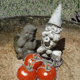 Debra Cortese: 'Garden Angel, Gnome and Tomatoes', 2008 Other Photography, Food. Artist Description:  Garden Angel, Gnome abd Tomatoes is one of a series of 5 playful tomato images. Originally created for the Florida Tomato Growers Tomato Art Competition.This 18 inch x 12 inch open edition nature's energy photopainting is printed with archival inks on fine art paper, signed and ...