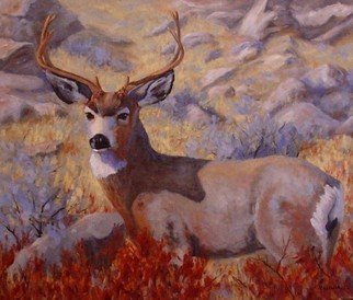 Debra Mickelson: 'Autumn Majesty', 2010 Oil Painting, Animals.  muley deer buck animal wildlife Colorado nature oil painting       ...