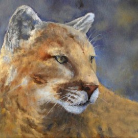 Cougar By Debra Mickelson