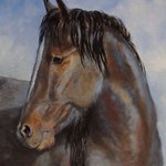 The Blue Roan Mustang By Debra Mickelson