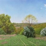 the meadow in spring By Dejan Trajkovic