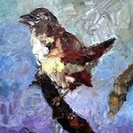 the bird By Basha Aziz