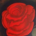 Red Rose By Denise Seyhun