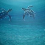 Sea Turtles By Denise Seyhun