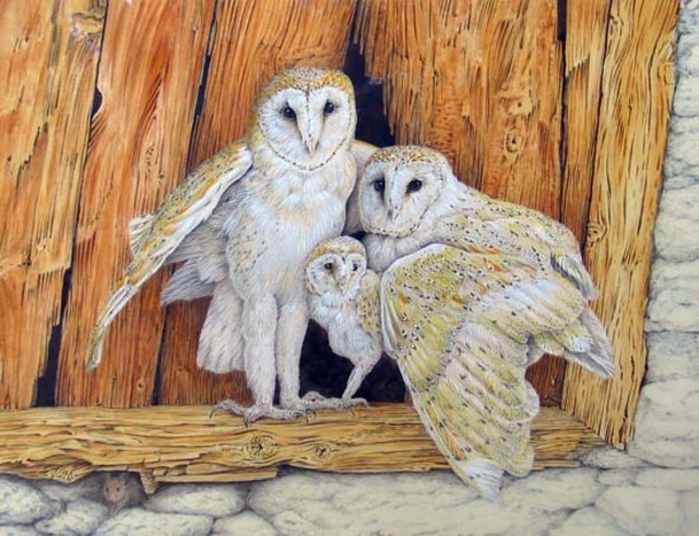Artist Dennis Mccallum. 'Barn Owl Family' Artwork Image, Created in 2008, Original Painting Other. #art #artist