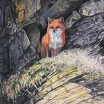Red Fox By Dennis Mccallum