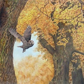 Tawny Owls, Dennis Mccallum