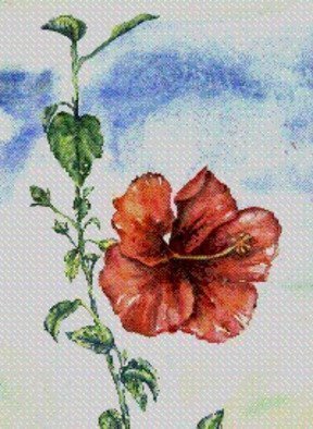 Deborah Paige Jackson: 'Hibiscus', 2001 Watercolor, Floral. 