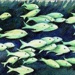 The Fishes By Deborah Paige Jackson