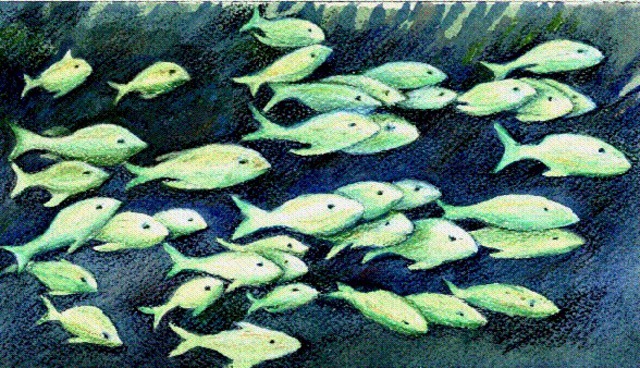 Artist Deborah Paige Jackson. 'The Fishes' Artwork Image, Created in 2001, Original Drawing Pencil. #art #artist