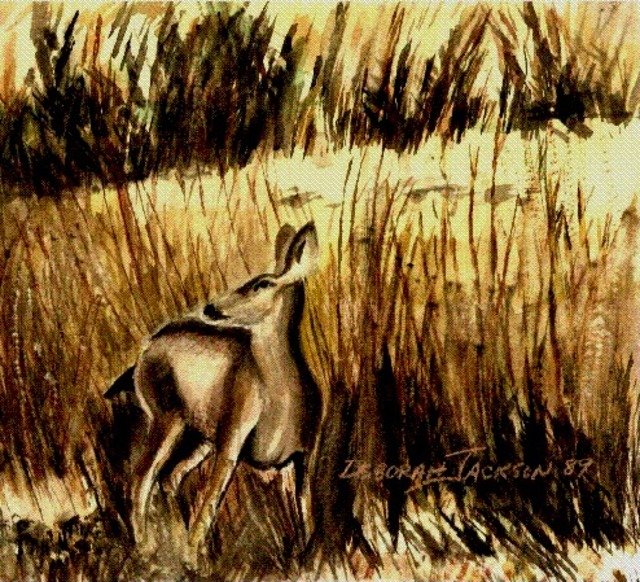 Artist Deborah Paige Jackson. 'Camouflage Deer' Artwork Image, Created in 1998, Original Drawing Pencil. #art #artist