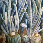 conservatory cactus By Deborah Paige Jackson