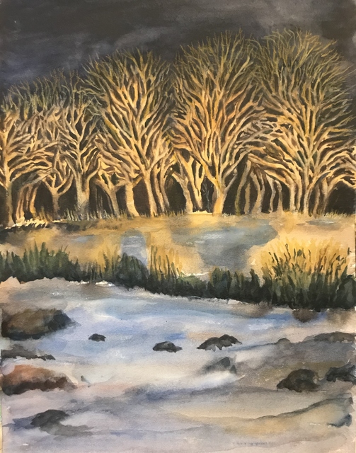 Deborah Paige Jackson  'Trees Against The Night Sky', created in 2019, Original Drawing Pencil.