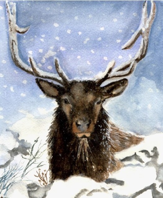Artist Deborah Paige Jackson. 'Winter Deer' Artwork Image, Created in 1998, Original Drawing Pencil. #art #artist