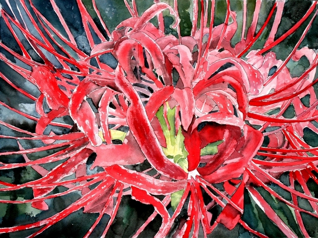Derek Mccrea  'Red Spider Lily Flower Painting', created in 2010, Original Watercolor.