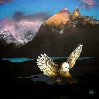 Derek Dey: 'The Messenger', 1991 Acrylic Painting, Archetypal.  Set in Peru this beauty relates to an awakening. The mountains are bathed in setting sunlight. The owl rises from the groung or it might be from the shadows of the unconscious. ...